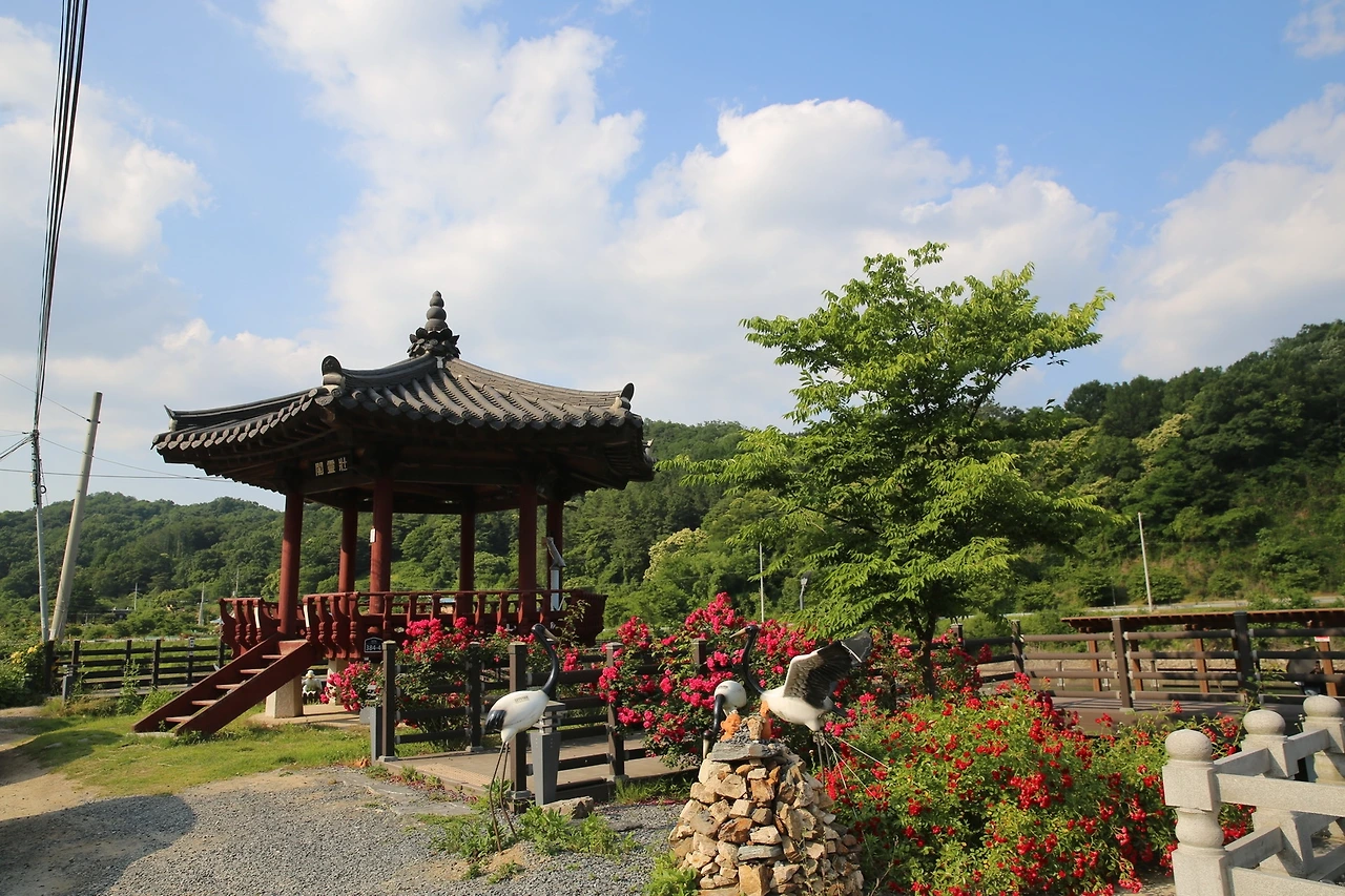 MG0A1625_новый размер.JPG