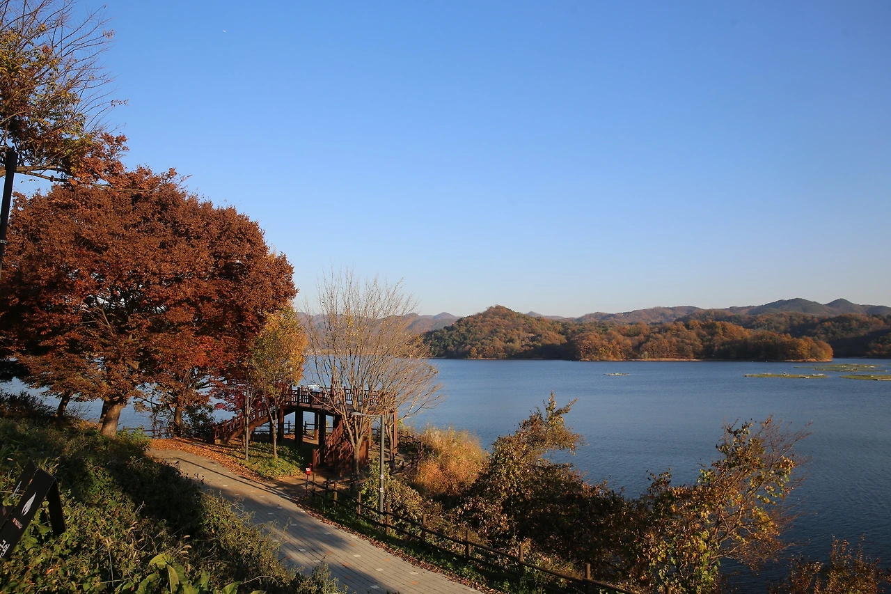 MG0A1372_новый размер.JPG