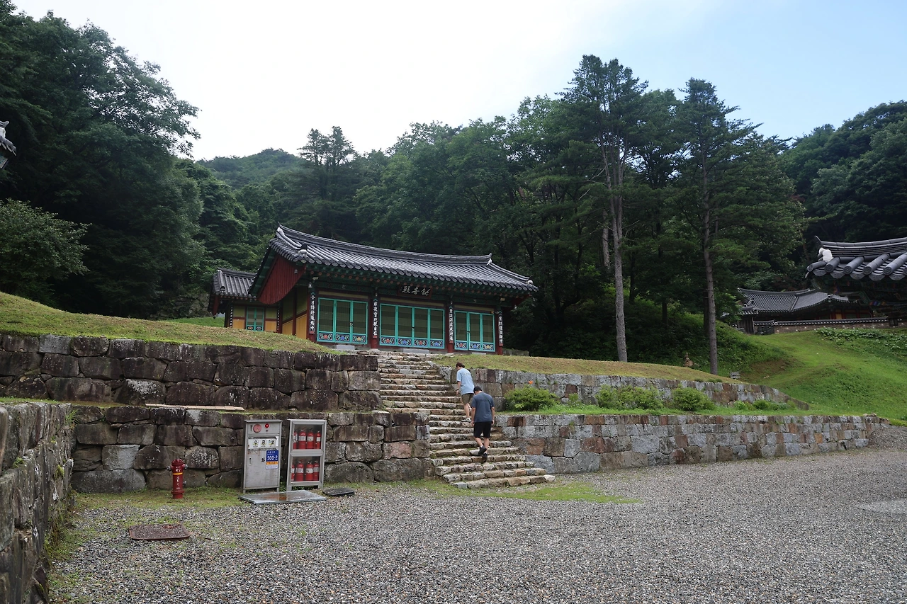 0R5A7616_новый размер.JPG