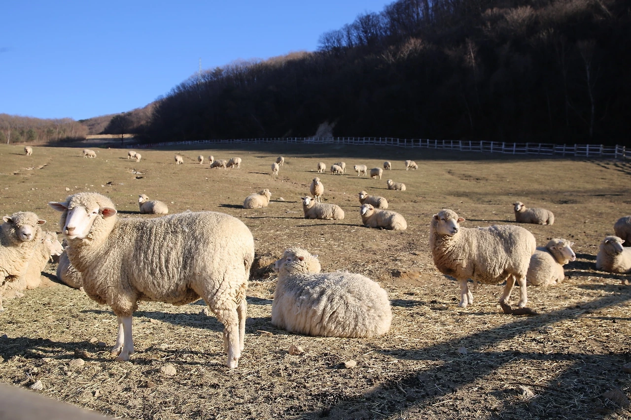 MG0A1744_новый размер.JPG