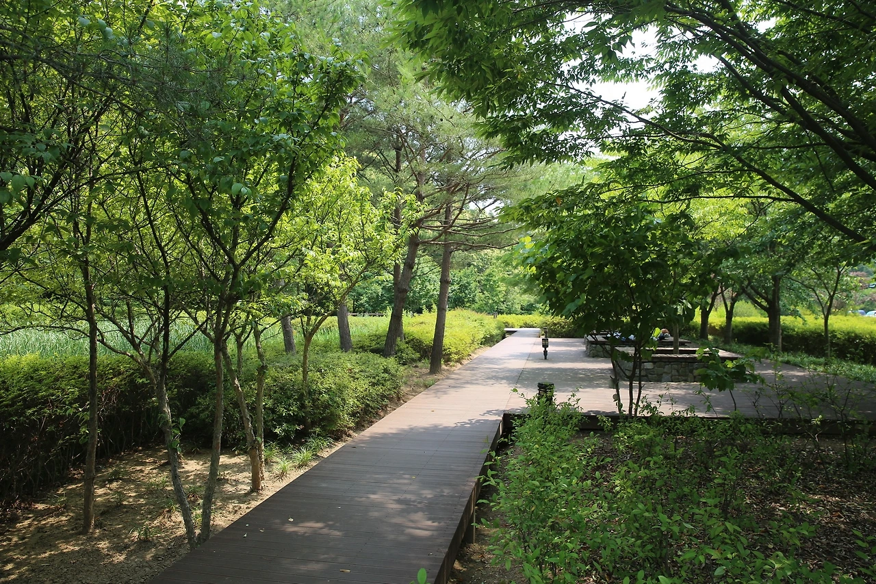 MG0A2427_новый размер.JPG