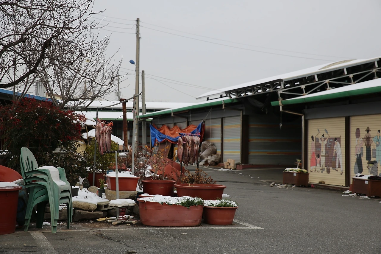 MG0A4239_новый размер.JPG