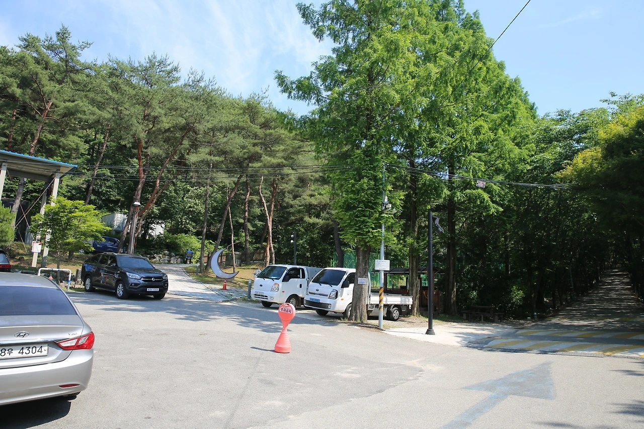 MG0A2194_новый размер.JPG