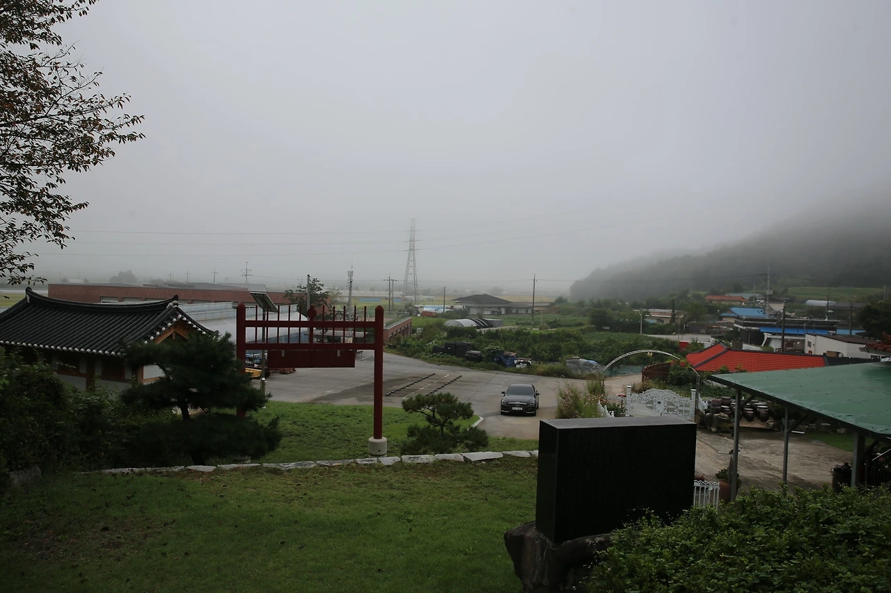 MG0A3561_новый размер.JPG