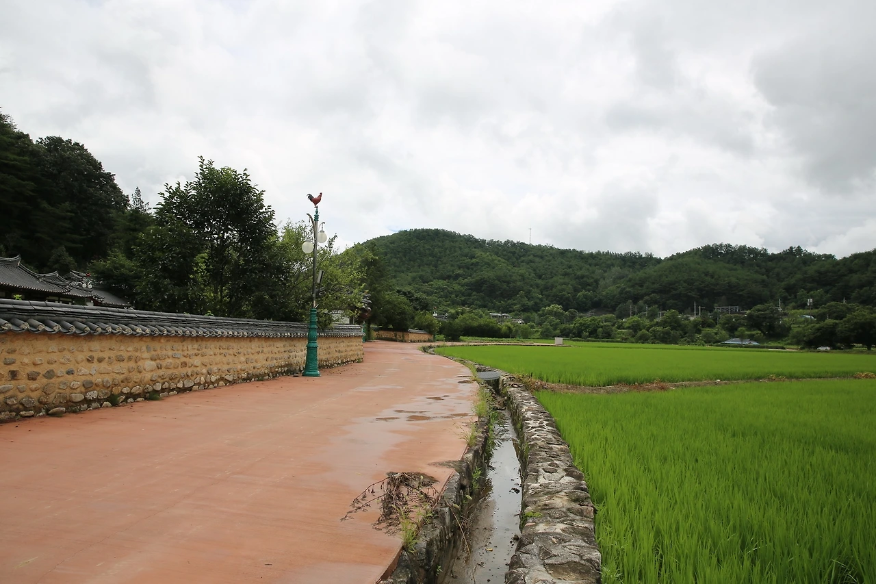 MG0A6474_новый размер.JPG