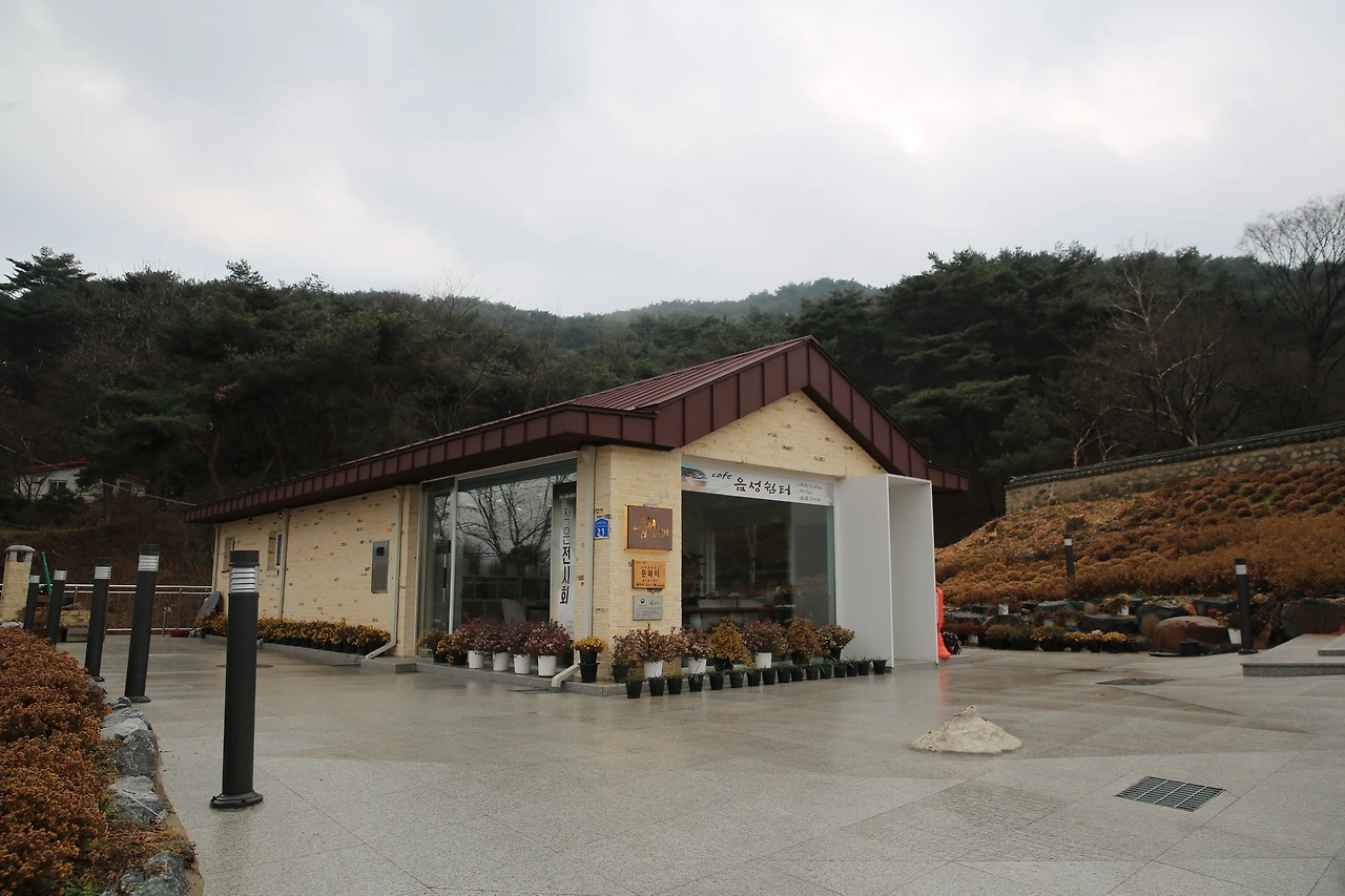 MG0A5933_новый размер.JPG