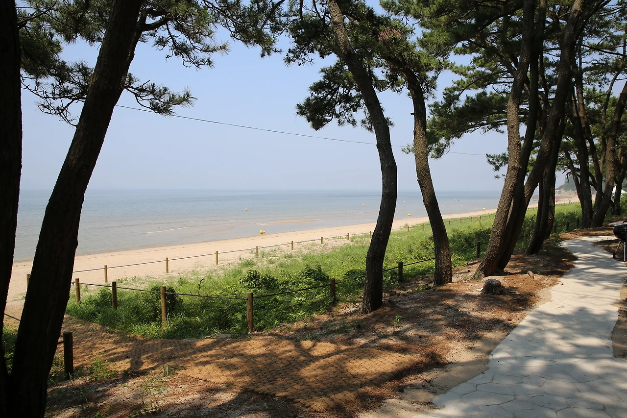 MG0A5734_новый размер.JPG