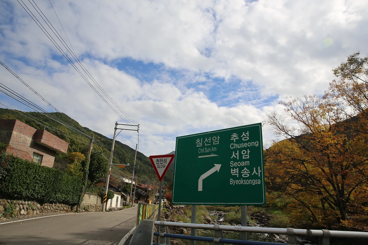 MG0A7851_новый размер.JPG