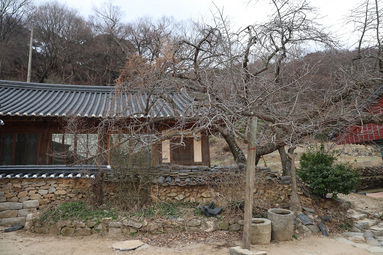 0R5A2842_новый размер.JPG