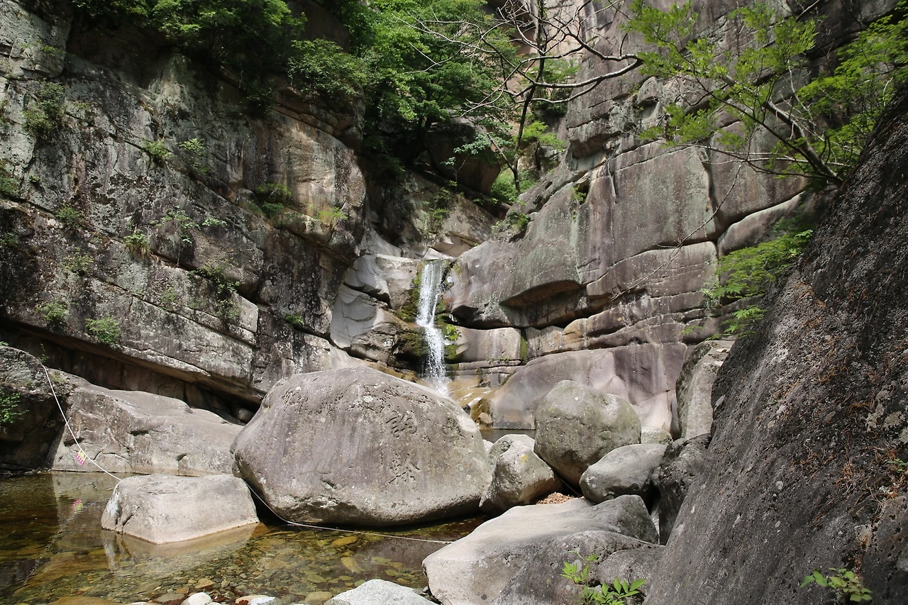 MG0A0763_новый размер.JPG