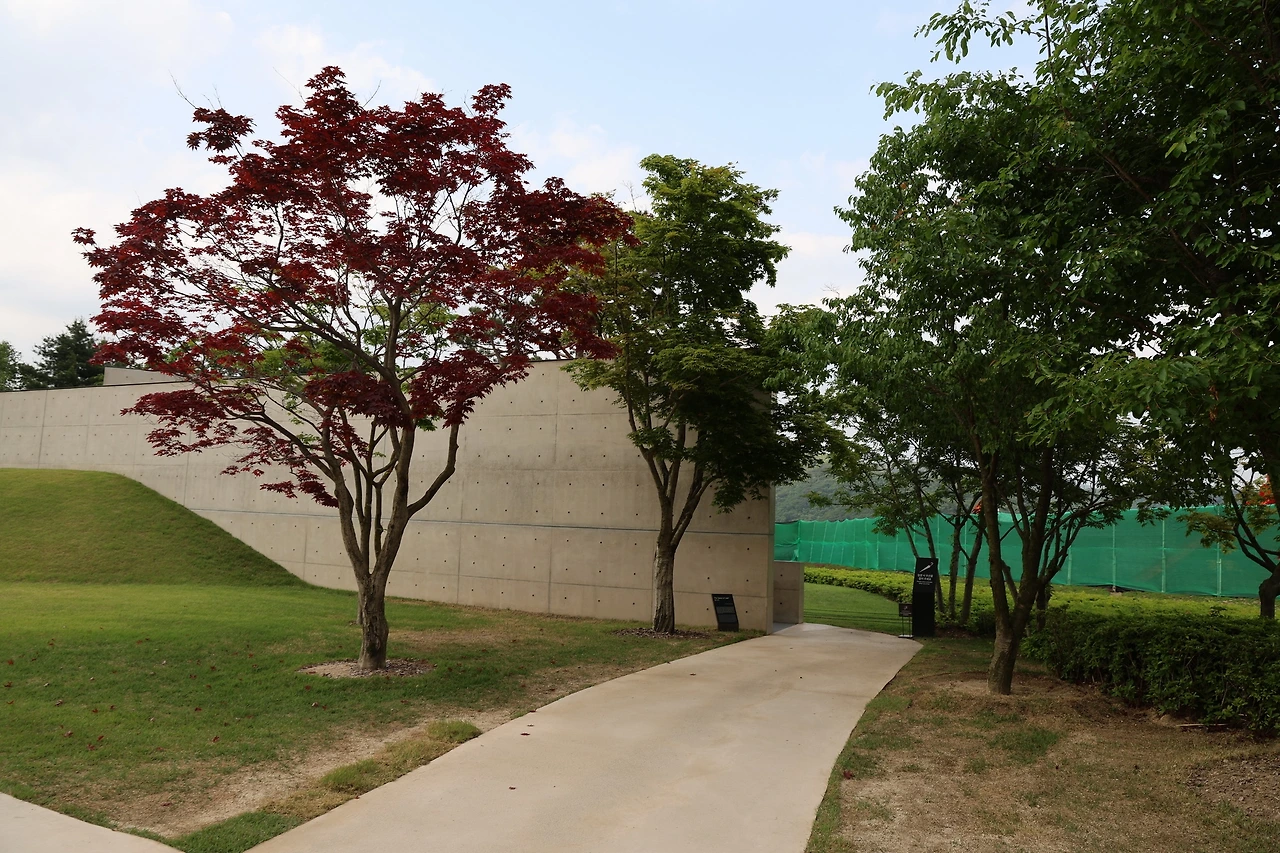 0R5A1590_новый размер.JPG