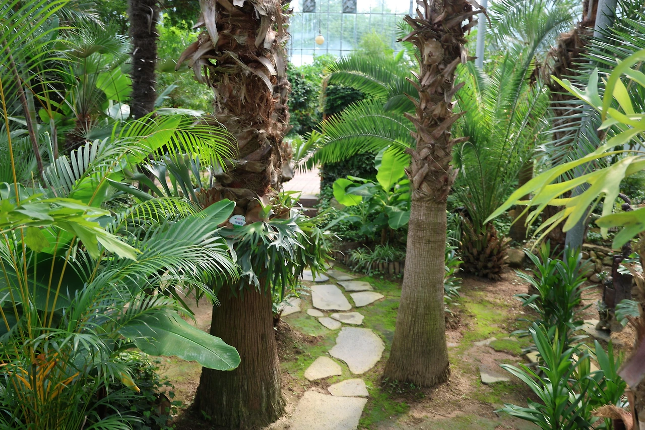 0R5A1821_новый размер.JPG