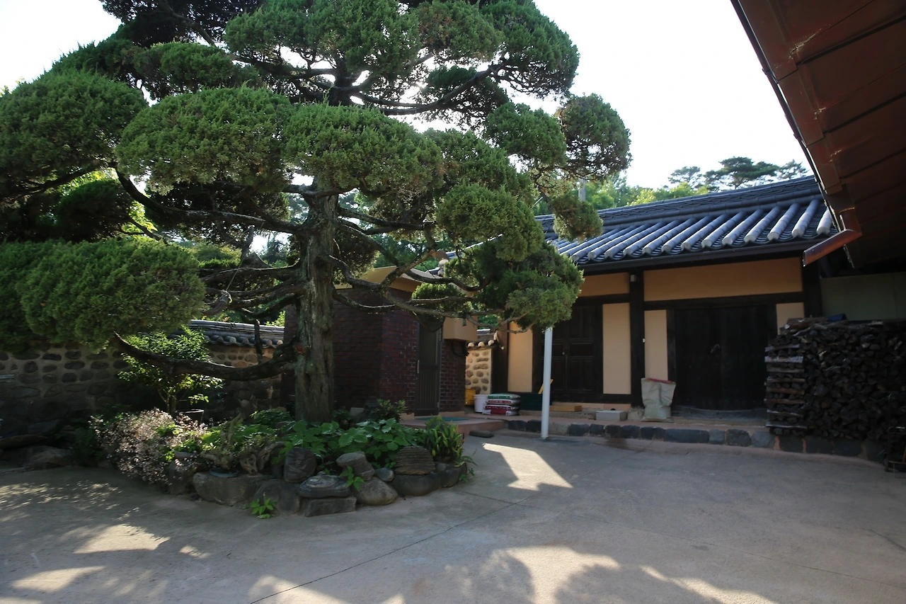 MG0A7849_новый размер.JPG