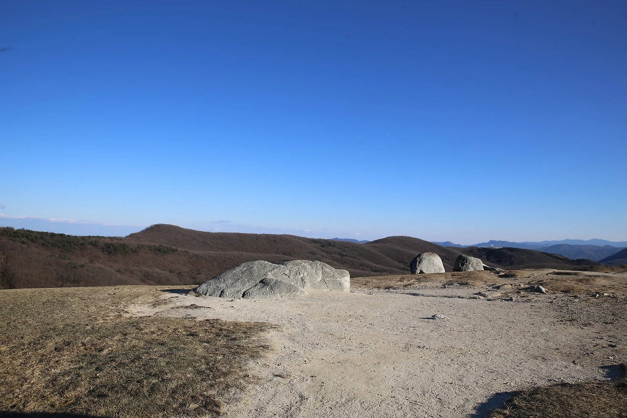 MG0A1729_новый размер.JPG