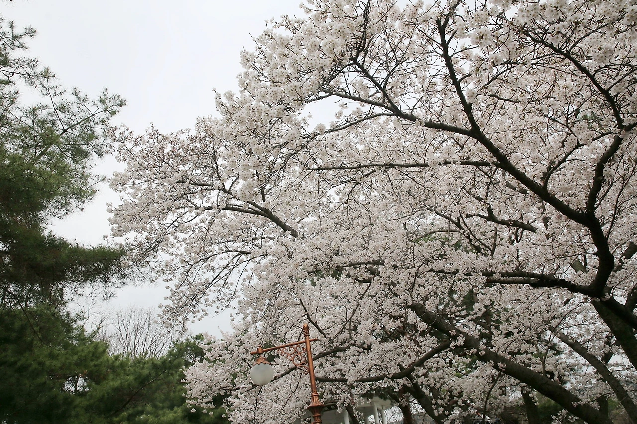 MG0A8199_новый размер_exposure.JPG