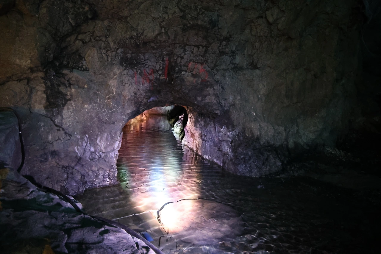 0R5A8000_новый размер.JPG