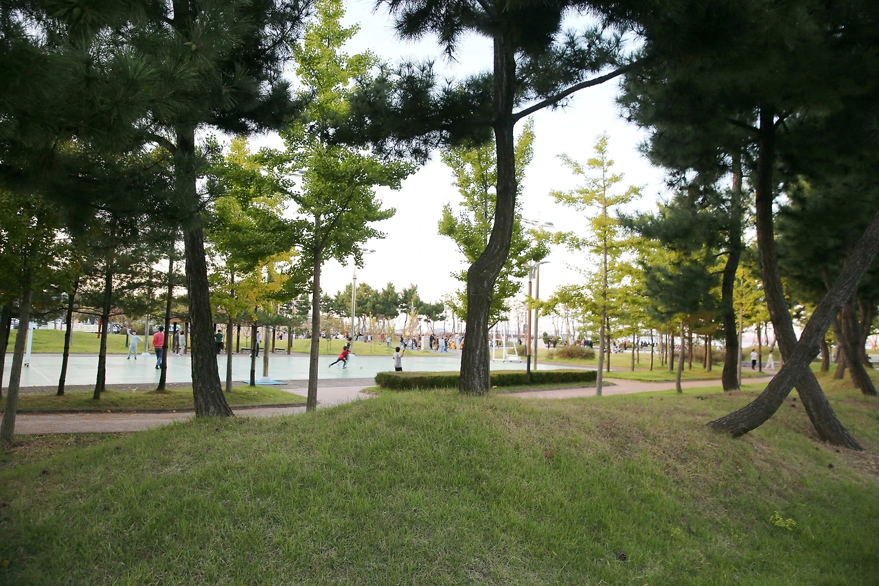 MG0A7622_новый размер_exposure.JPG