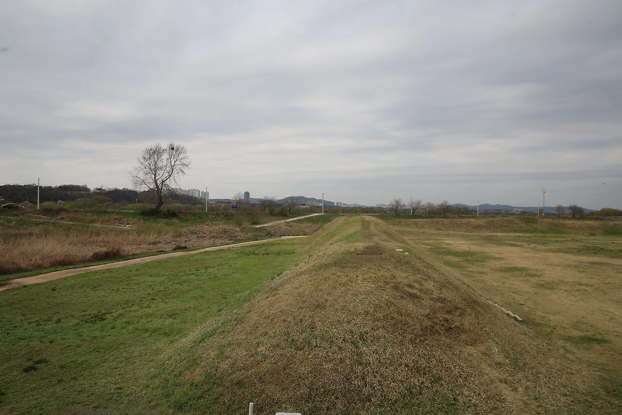 MG0A8245_новый размер.JPG