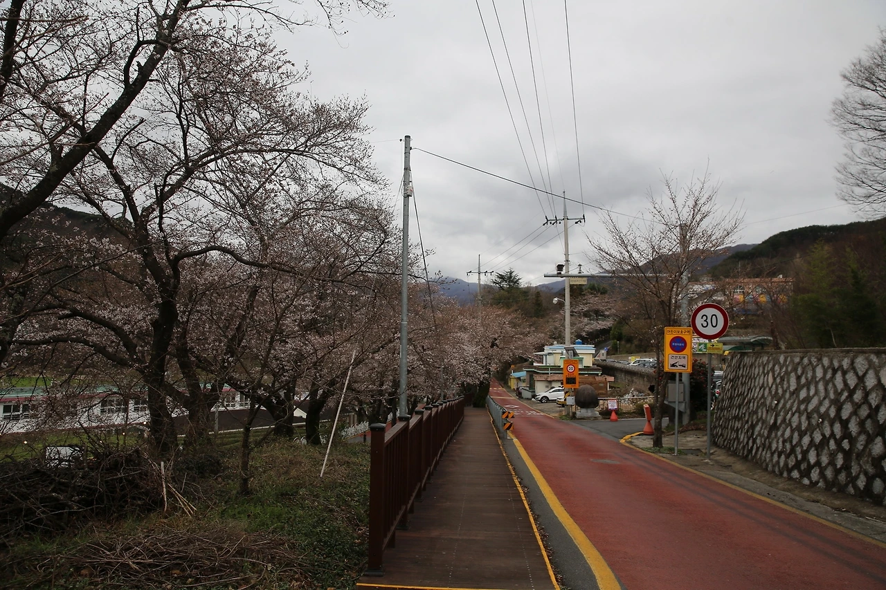 MG0A7255_новый размер.JPG