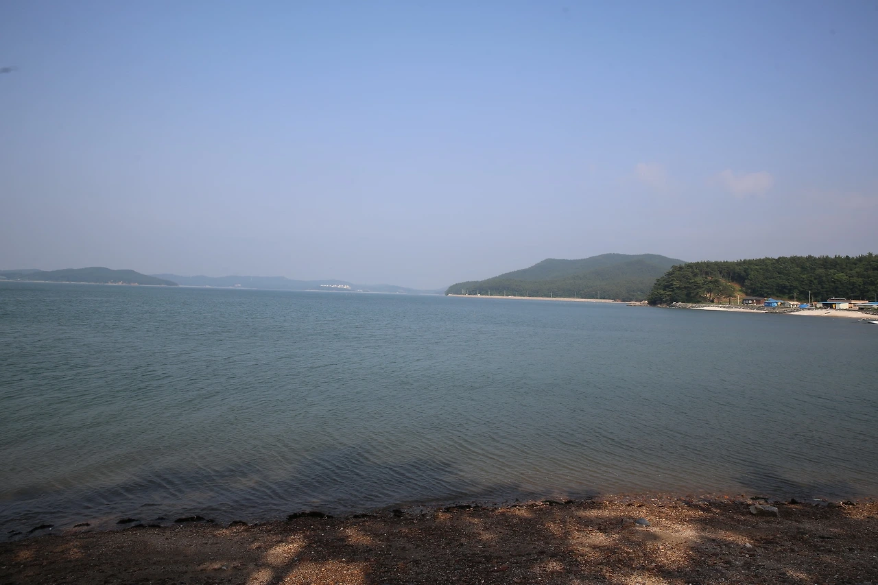 MG0A4041_новый размер.JPG