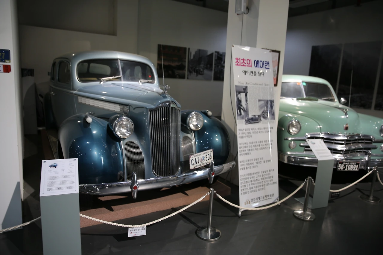 MG0A6914_новый размер.JPG