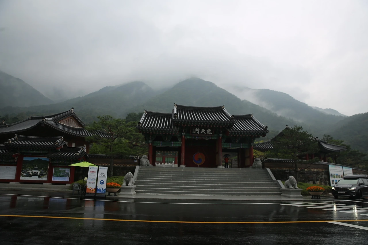 MG0A3109_новый размер.JPG