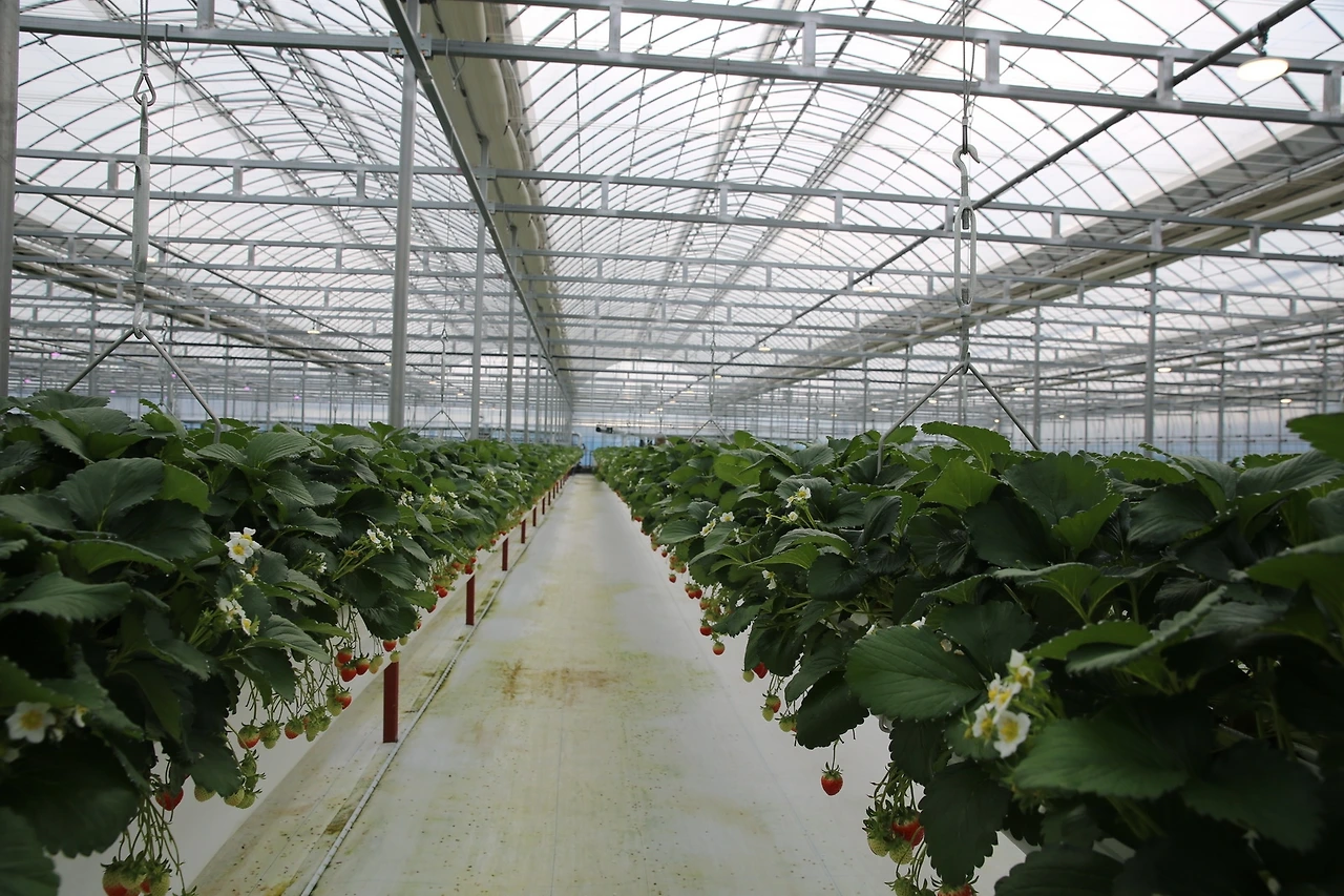 MG0A5297_новый размер.JPG