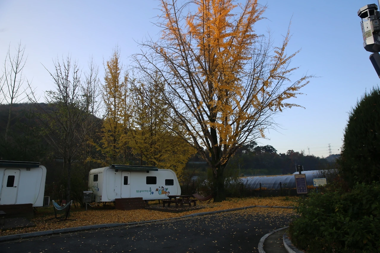 MG0A0624_новый размер.JPG