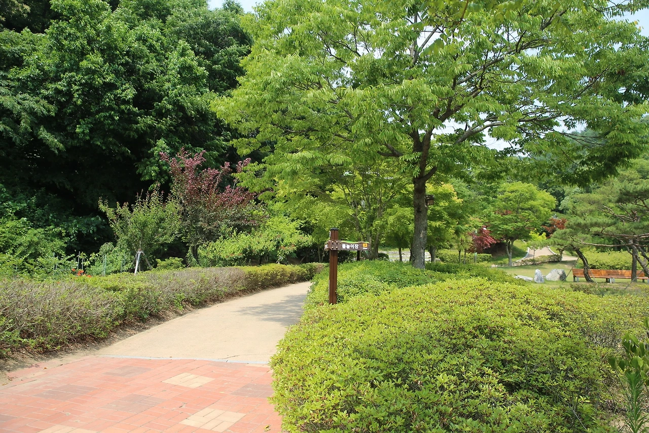 MG0A2413_новый размер.JPG