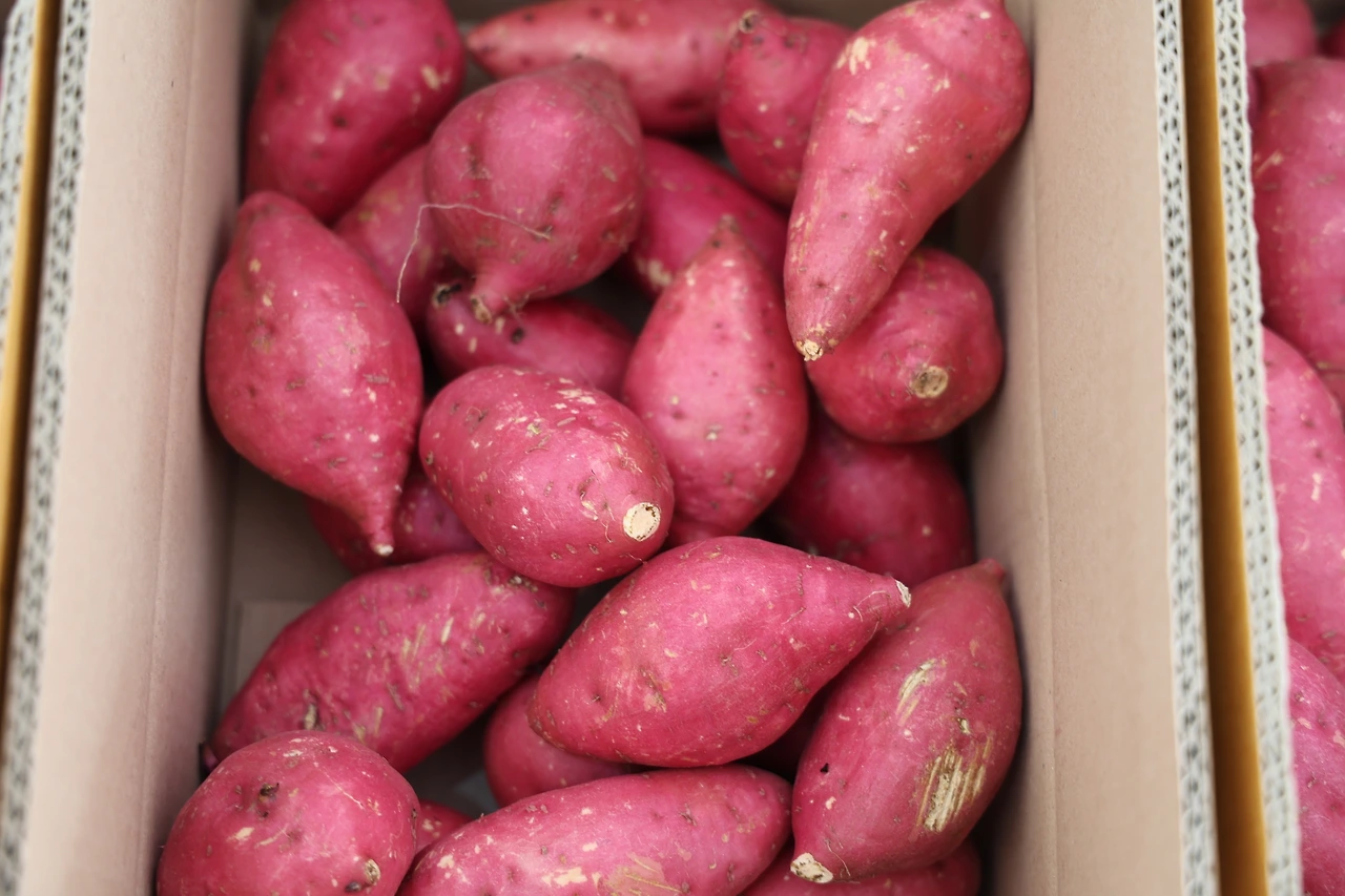 0R5A1442_новый размер.JPG