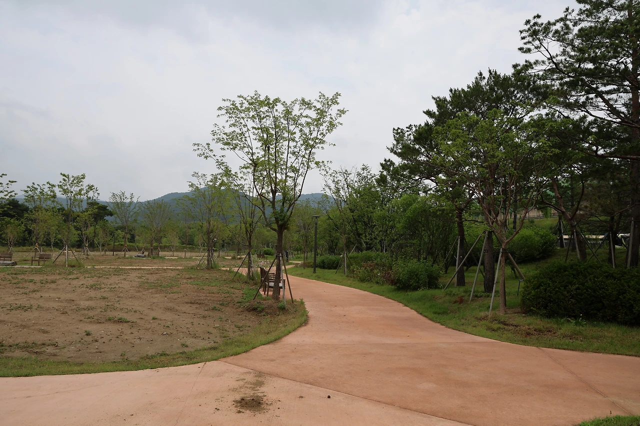 0R5A5647_новый размер.JPG