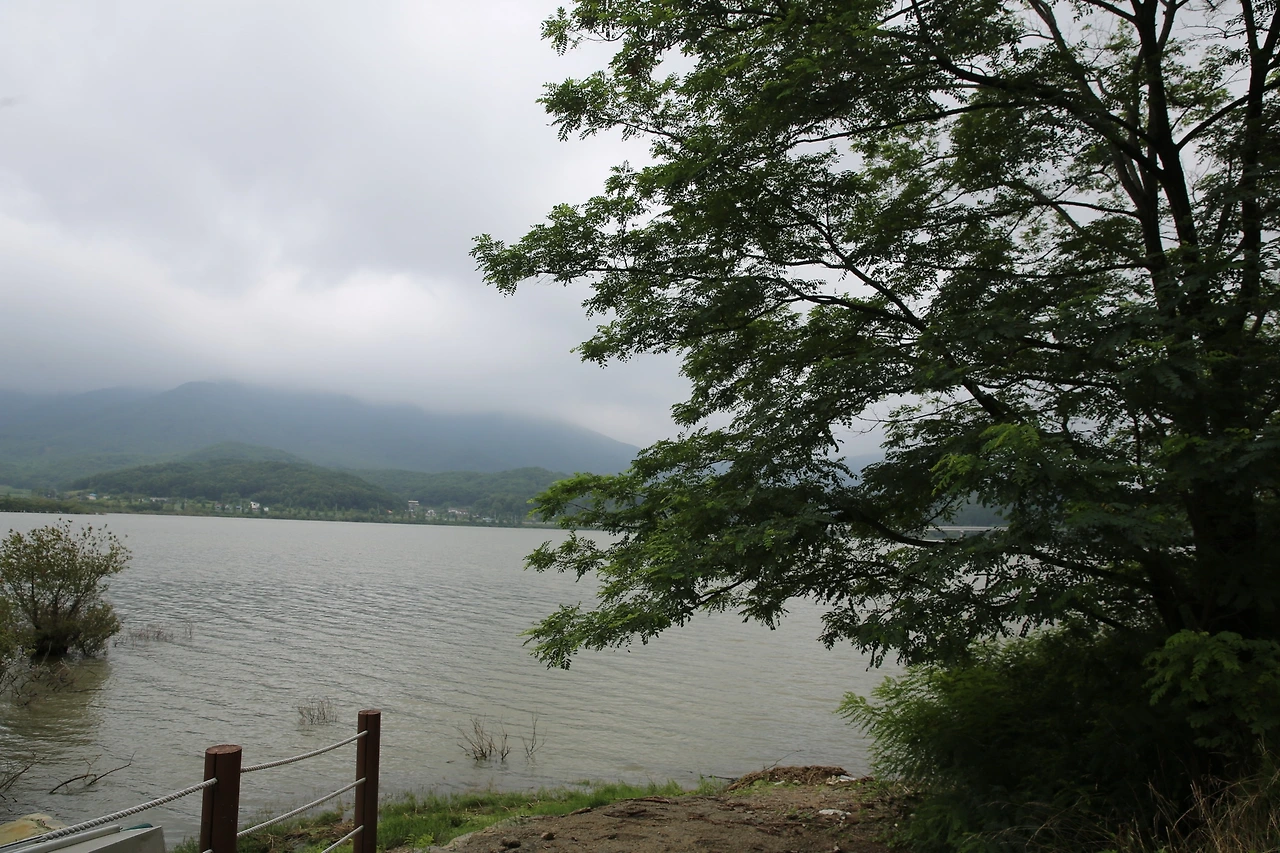 MG0A3578_новый размер.JPG