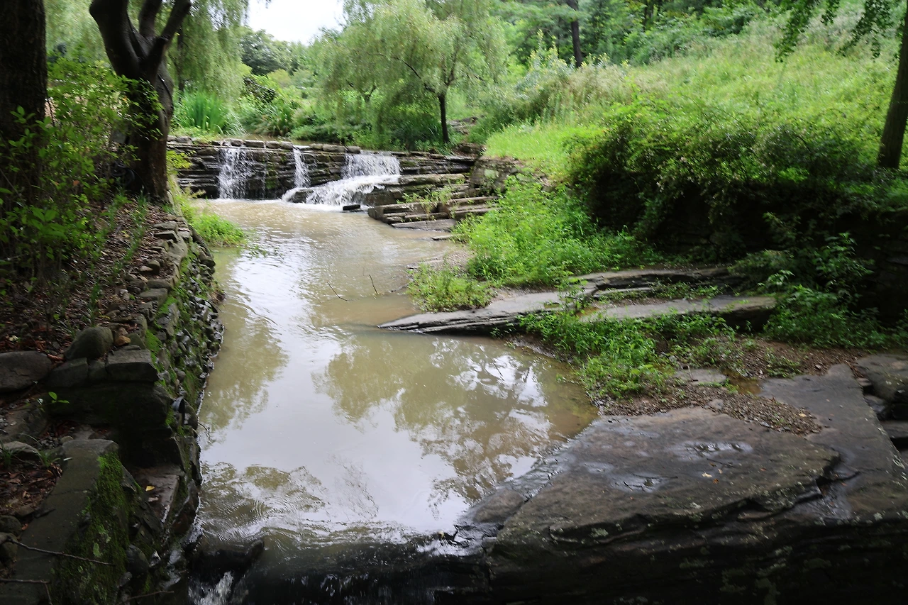 0R5A1561_новый размер.JPG