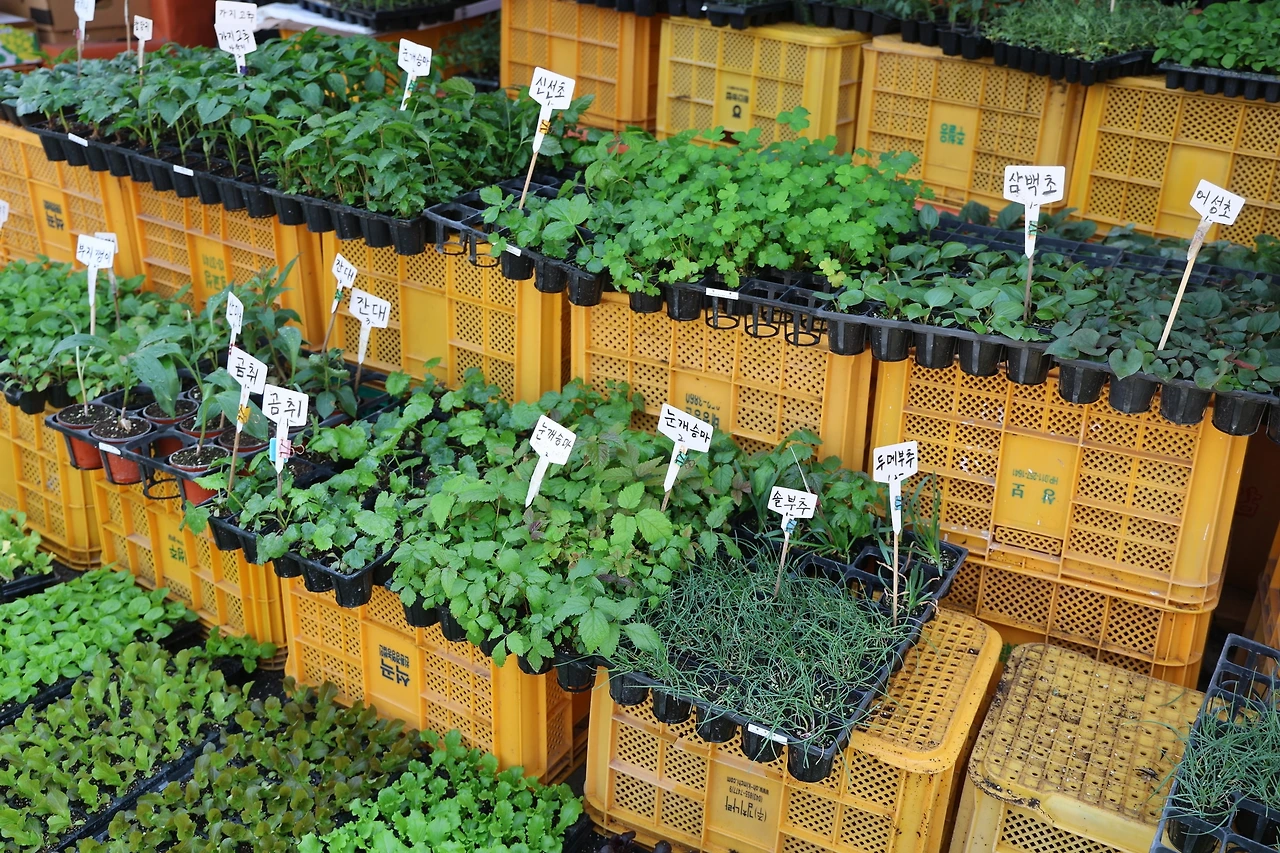 0R5A6414_новый размер.JPG