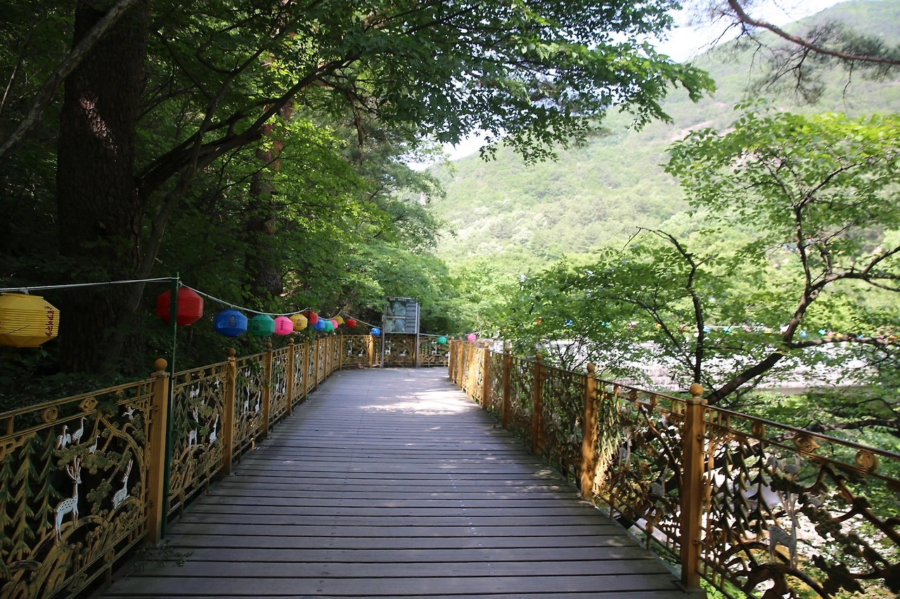 MG0A0682_новый размер.JPG