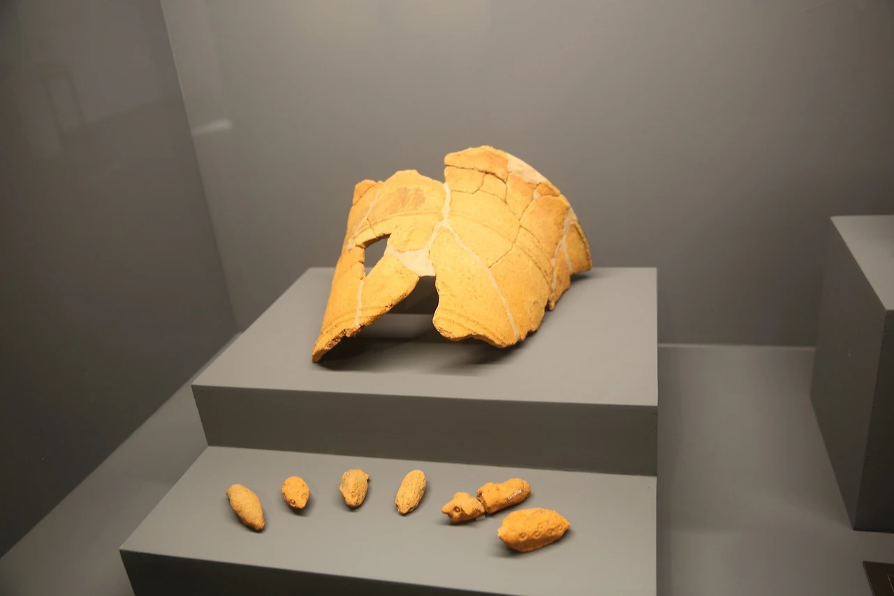 MG0A9390_новый размер.JPG