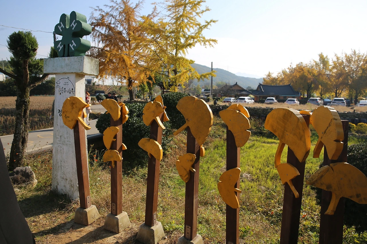 MG0A9342_новый размер.JPG