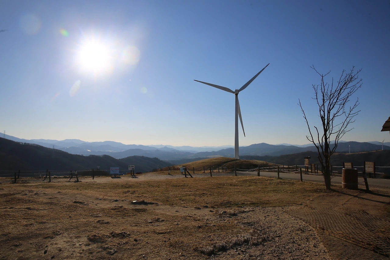 MG0A1731_новый размер.JPG