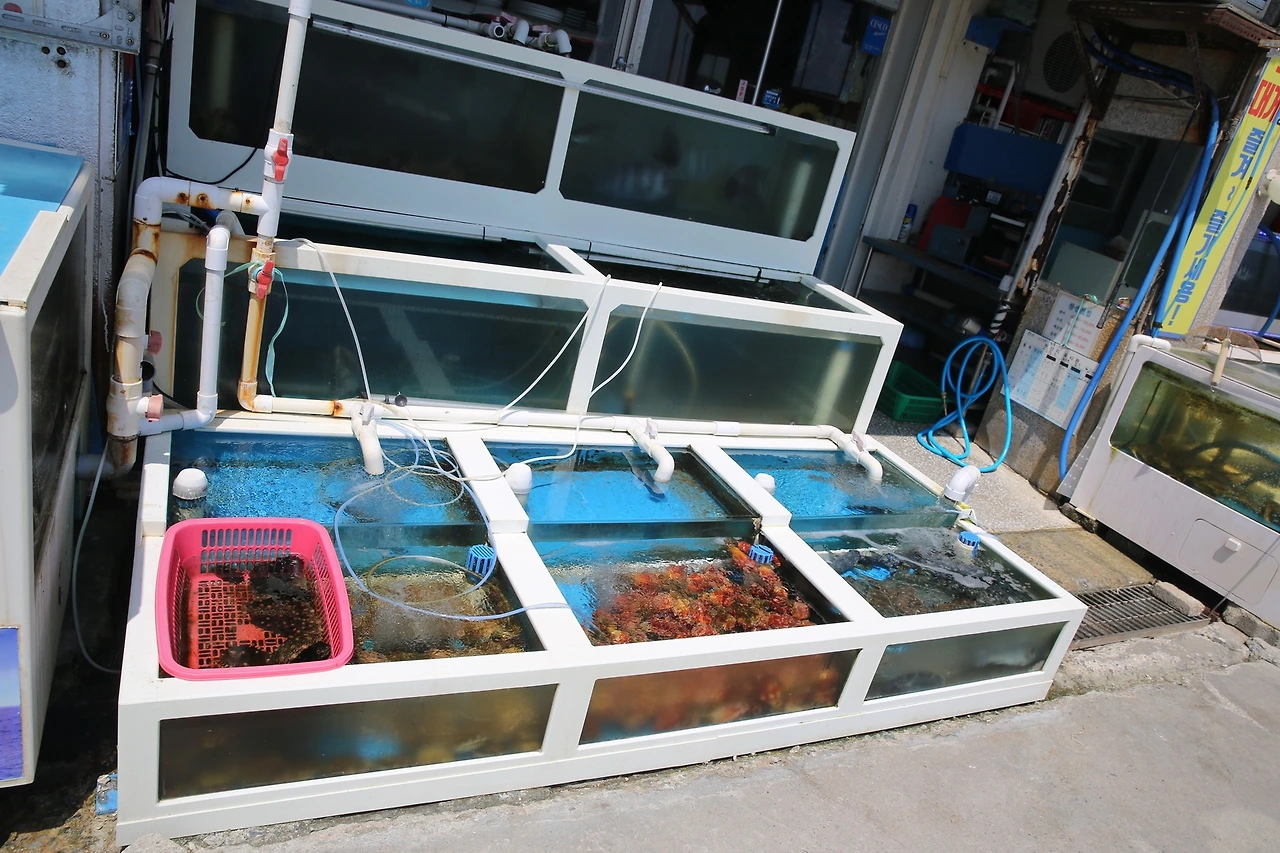 MG0A0237_новый размер.JPG