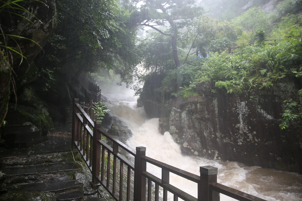 MG0A3356_новый размер.JPG