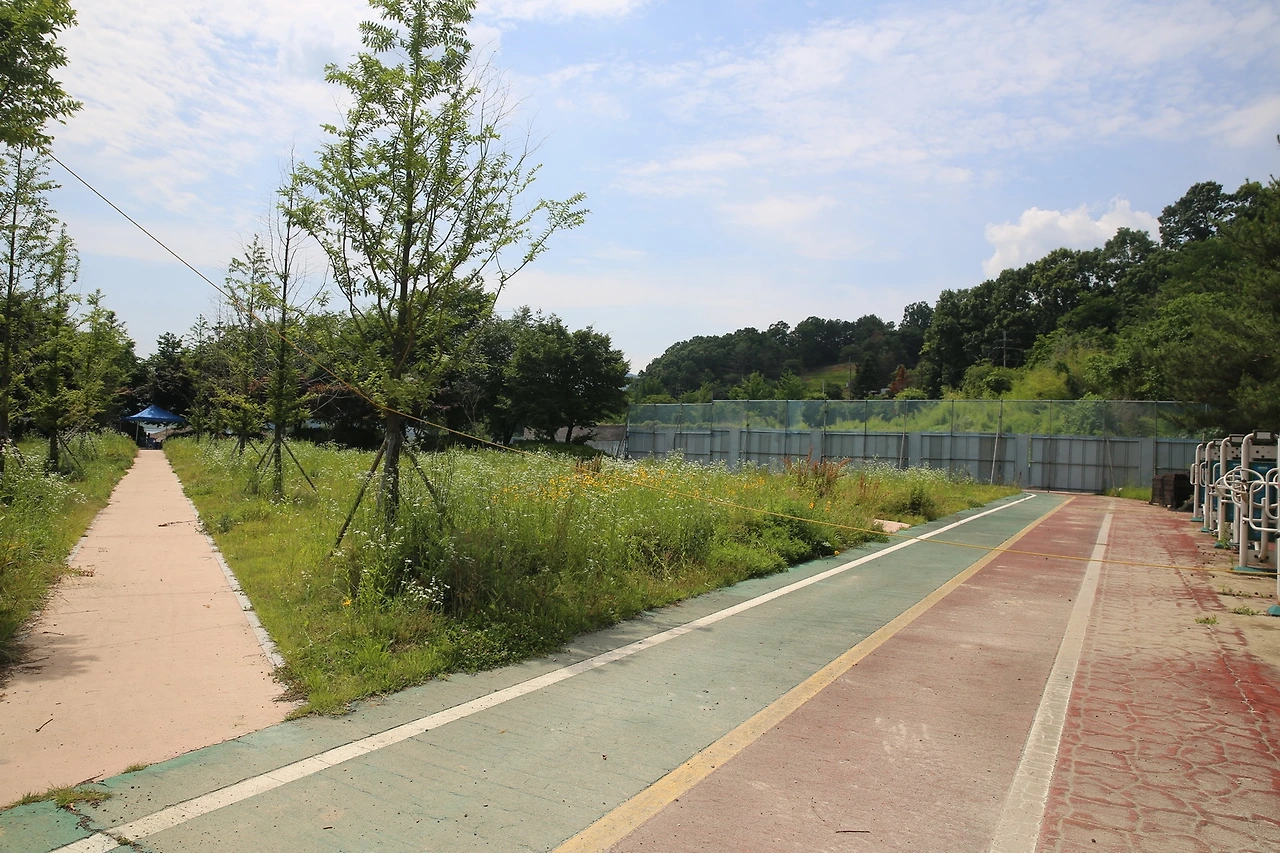 MG0A2152_новый размер.JPG