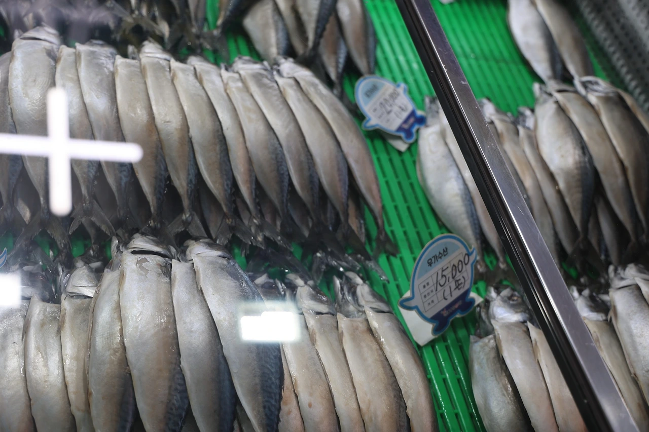 0R5A3041_новый размер.JPG