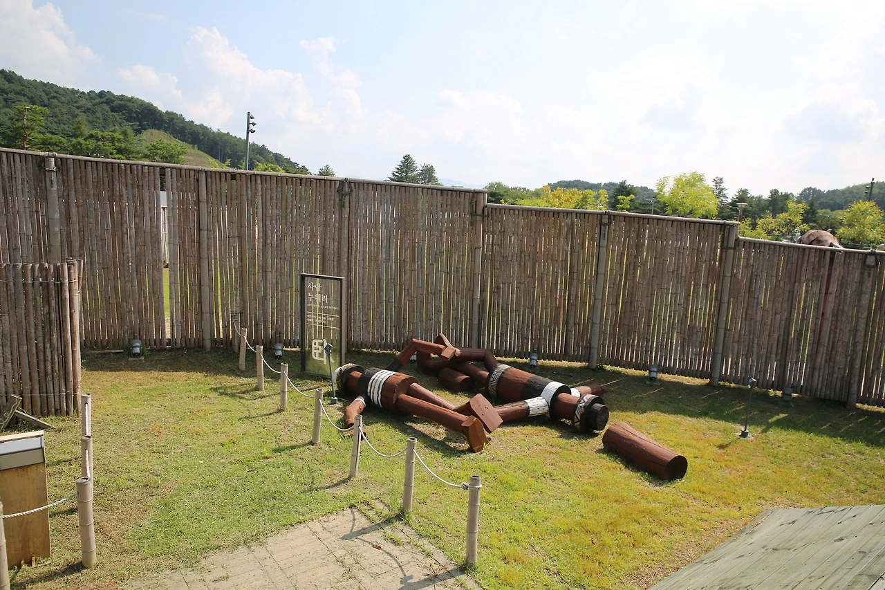 MG0A0411_новый размер.JPG