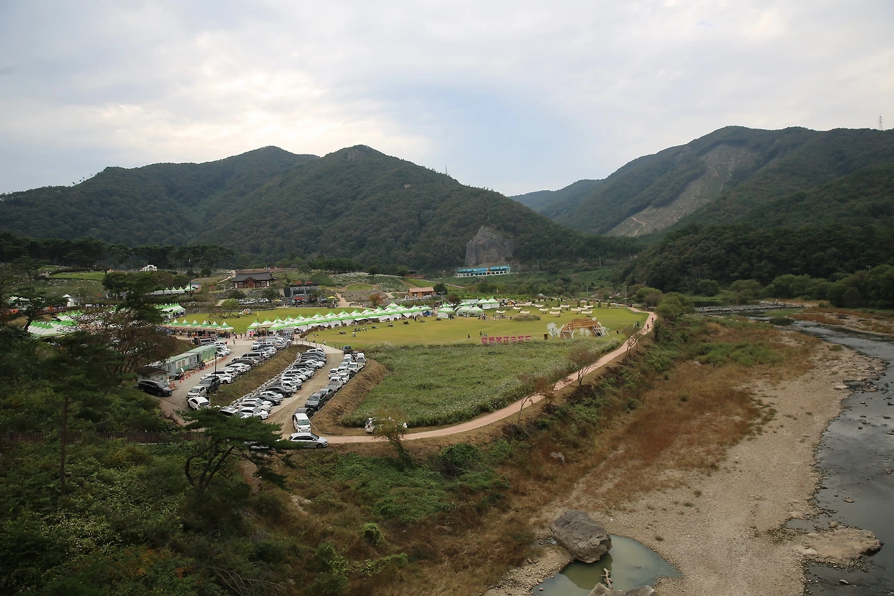 MG0A4815_новый размер.JPG