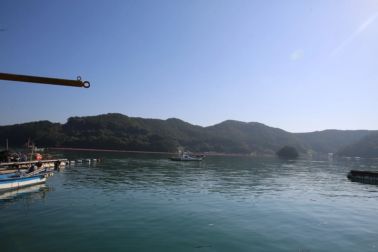 MG0A9101_новый размер.JPG