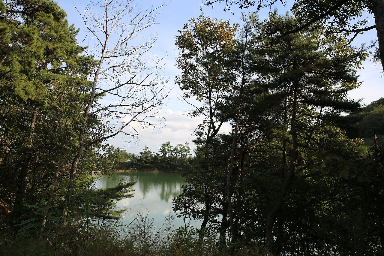 MG0A5670_новый размер.JPG