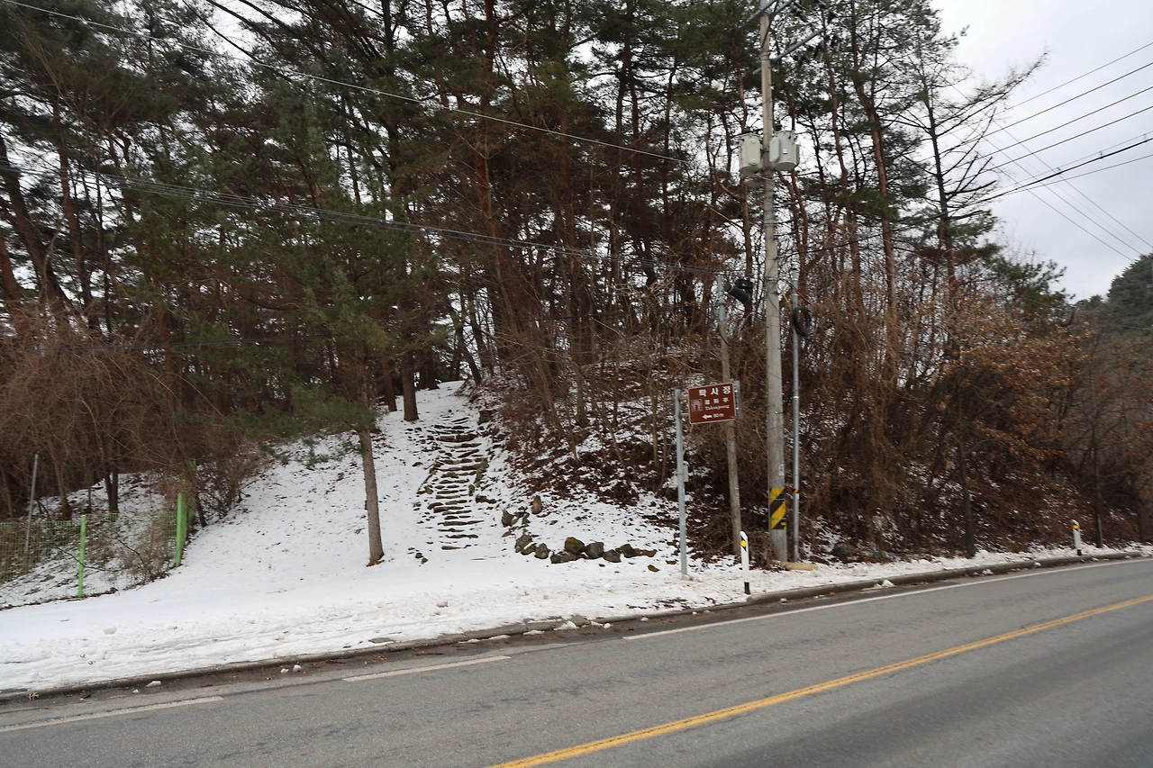 0R5A1718_новый размер.JPG