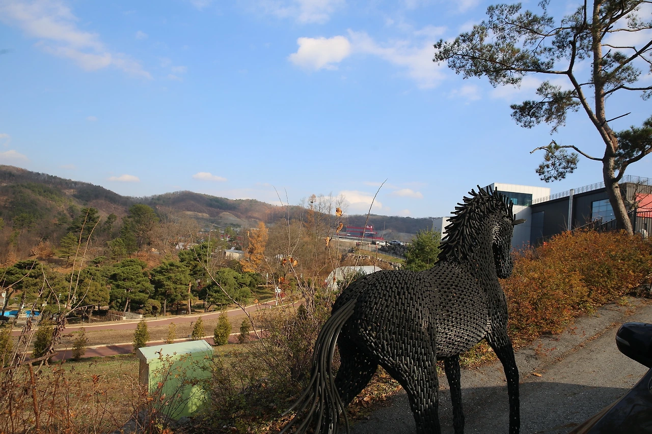 MG0A3156_новый размер.JPG