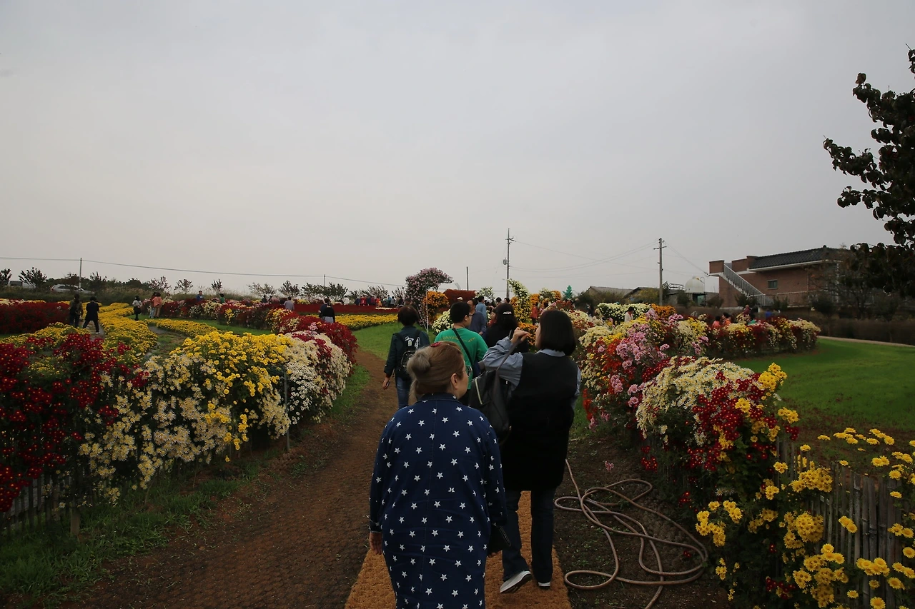 MG0A9637_новый размер.JPG