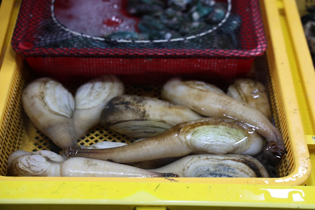 0R5A4292_новый размер.JPG